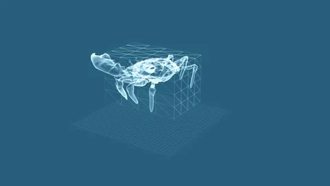Transparent 3D Crab Models Highlight Geometric Display on Blue Background 库存影片 342781408