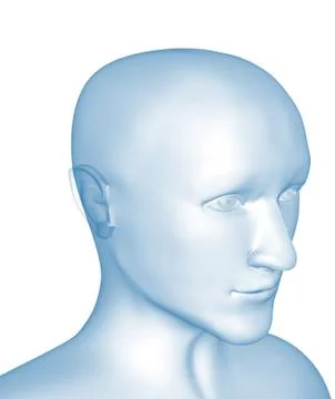 Transparent 3d head of the man - x-ray 스톡 일러스트