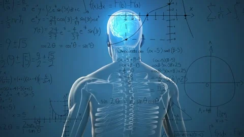 Transparent 3D torso rotating after brain glowing and formulas overlaying, Vídeos de archivo 330894565