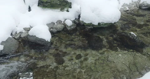 Transparent Alpine water flows through winter forest Stock Footage 231733430
