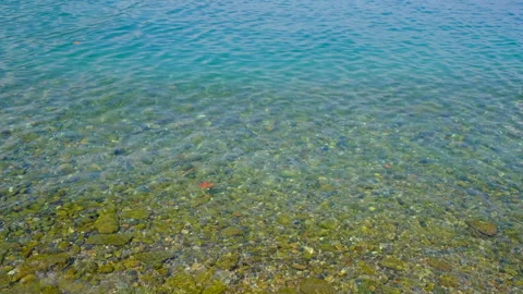 Transparent and clear water of Como lake Stock Footage 250014823