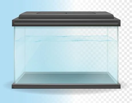Transparent aquarium vector illustration Illustrazione stock