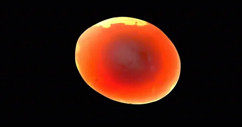 Transparent back light glowing single cell inside human body Stock Footage 65702214