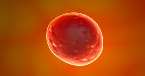 Transparent back lit glowing multicellular organism against orange Video stock 65702597