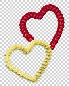 Transparent background with a pattern of two connected hearts. Two flower hea Foto stock