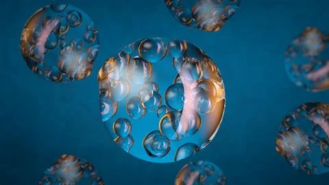 Transparent balls inside a transparent shell Stock Illustration