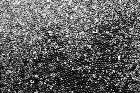 Transparent beadlets abstract science background with small translucent be... 写真素材