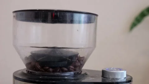 Transparent Bean Hopper Atop Grinder Filled With Whole Coffee Beans, Metal Stock Footage 330396479