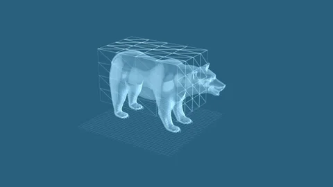 Transparent Bear Art with Wireframe in Digital Cube, 3D Visualization of Mo.. Stock Footage 342248798
