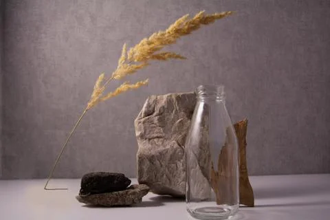 Transparent bottle, concrete, tree bark, stone and spikelet. Stock Photos
