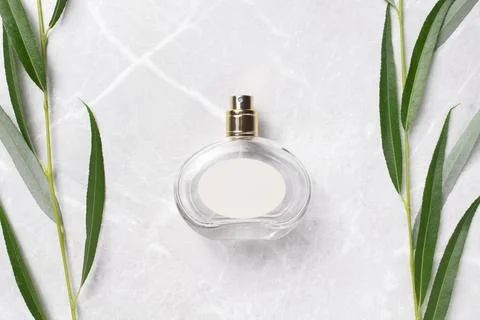 Transparent bottle of perfume on a marble background. Fragrance presentatio.. Stock Photos