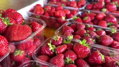 Transparent boxes filled with ripe strawberries on bazaar counter with vibrant Stock Footage 345725598