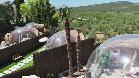 Transparent bubble domes at luxury glamping resort surrounded by olive groves Vidéo 336220996