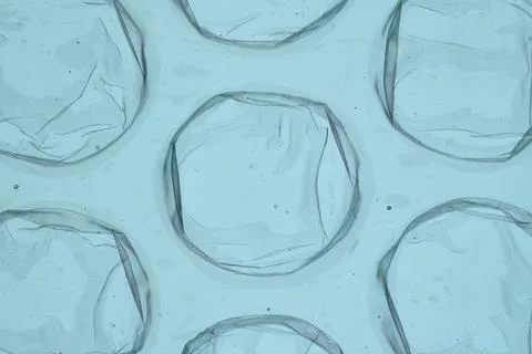Transparent Bubble Wrap Texture Close Up Stock Photos