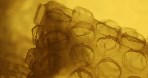 Transparent Bubble Wrap Texture Yellow light Stock Footage 313263923