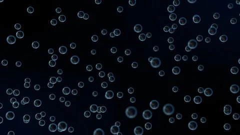 Transparent bubbles stream with light blue reflections in mid-air Stock Footage 277800055