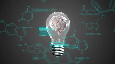 Transparent bulb containing brain rotating while cyan code UI appearing, Stock Footage 330331314