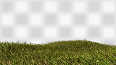 Transparent channel - wind blowing over the grassland - dynamic loop playback Stock Footage 346575501