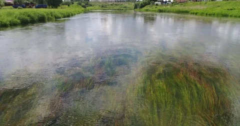 Transparent for clean rivers Stock Footage 77772954