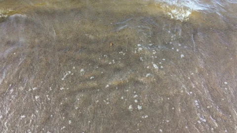 Transparent clean waves close-up. Sandy shore. Summer relaxing background. Stock Footage 115795418