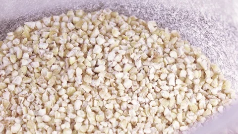 Transparent container with wheat 스톡 동영상 74502723