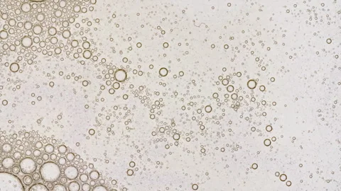 Transparent cosmetic gel fluid with molecule bubbles oil distribution on a white Stock Footage 276998045