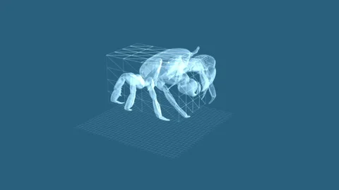 Transparent Crab Wireframe on Blue Grid Digital 3D Design Visualized 库存影片 343863493