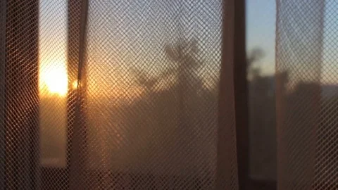 Transparent curtain moving by wind at sunset sunrise close up Stock Footage 76144915