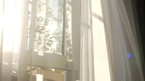 Transparent curtain on the window, gently moved by the wind. sunlight. sun's Stock Footage 139336660