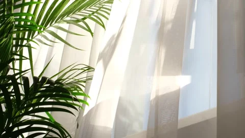 Transparent curtain on the window, gently moved by the wind. sunlight. sun's Stock Footage 219802361
