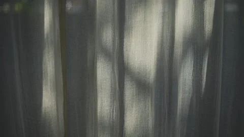 Transparent curtain on the window, gently moved by the wind. Stockbeeldmateriaal 249056687