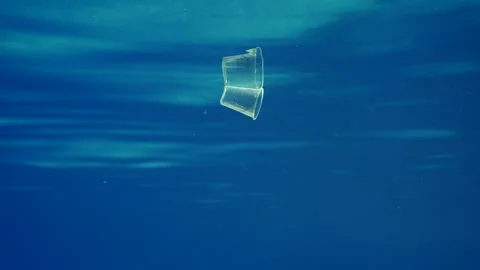 Transparent disposable plastic cup drifting underwater in blue water reflecting Stock Footage 246358525