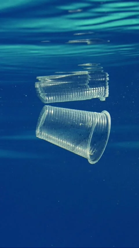 Transparent disposable plastic cup floats under water reflecting on its surface Stock Footage 246357091