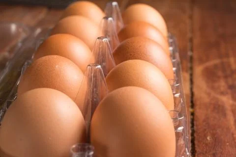 Transparent Egg Box Stock Photos
