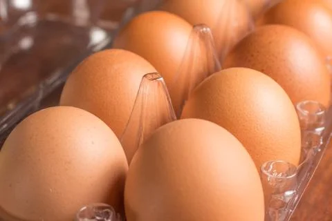 Transparent Egg Box 스톡 사진