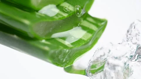 Transparent extract flows through the leafes of the aloe vera. Extract from.. Stock Footage 274555653