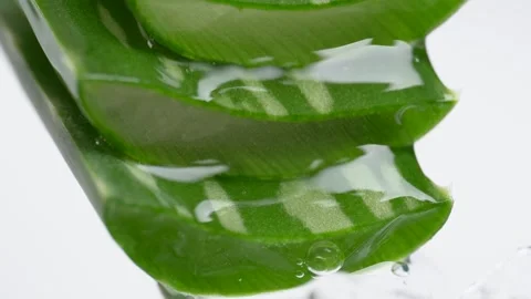 Transparent extract flows through the leafes of the aloe vera. Extract from.. Stock Footage 275067964