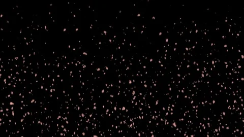 Transparent Falling Petals Seamless Looping Stock Footage 91624464