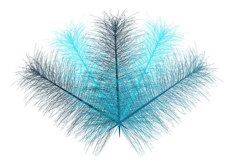 Transparent feathers fan   - vector illustration Stock Illustration