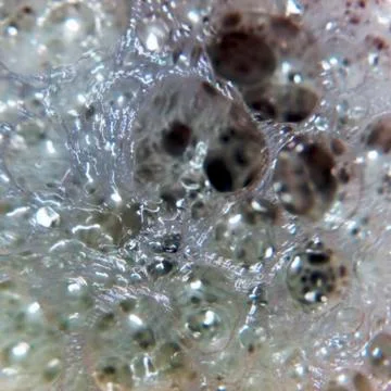 Transparent foam. Stock Photos
