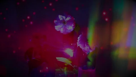 Transparent Geometry and Flowers: Light Bending in Motion Stock Footage 302410973