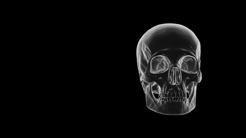 Transparent Glass Human Skull Rotating Loop - Crystal X-Ray 3D Rendering Stock Footage 340215475