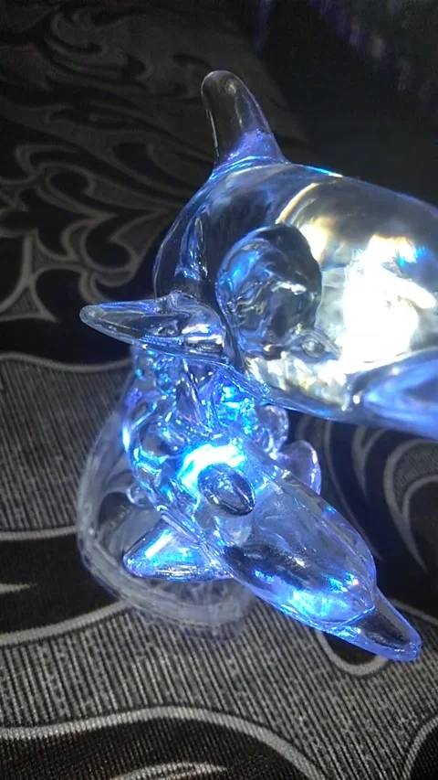Transparent glass material, small dolphin with colorful lighting Video stock 307514694