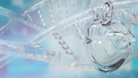 Transparent Human Heart With DNA Background 3d render.. Illustrazione stock