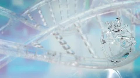 Transparent Human Heart With DNA Background 3d render.. Illustrazione stock