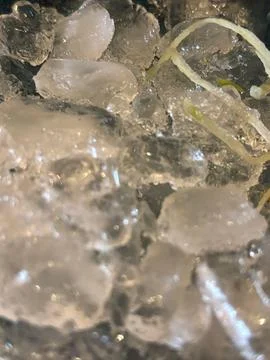 Transparent ice cubes Stock Photos