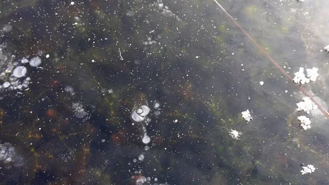 Transparent ice on the lake. Video stock 101007560