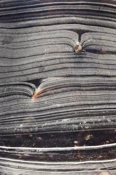 Transparent Ice Lines Surface Background Texture. Wavy Drawings of Ice Lines  Stock Photos