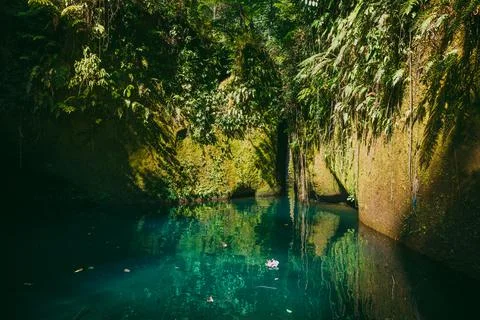 Transparent lake or river and rocks with tropical plants Foto stock