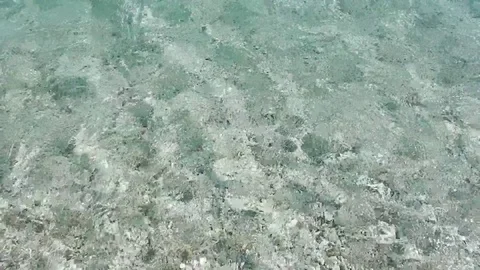 Transparent limpid turquoise sea with white stone backgroud moved by wind. Stock-Footage 80641826